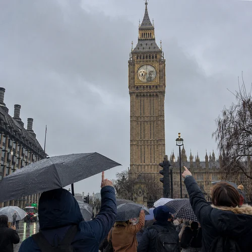 Elizabeth Tower (Big Ben) in London on a rainy day, with cat and dog portraits displayed on the clock face. Crowds of people are pointing and watching petshop portrait in amazement, creating a surreal and realistic scene.
